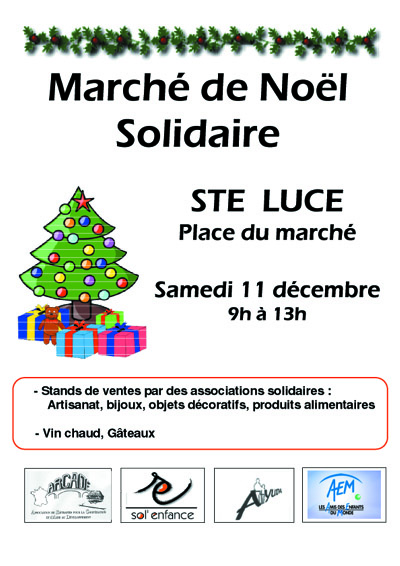 MarcheSolidaireSLdec2010